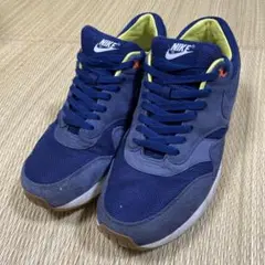 【レア】Nike × A.P.C. エアマックス