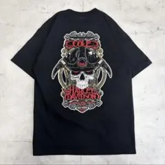 Item thumbnail for item 8a99460c-0f80-4850-aecc-09f4b3a4e3d6