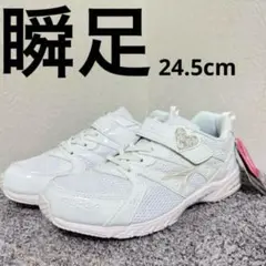 【新品タグ付き】瞬足　24.5cm ホワイトスニーカー　ハイスタンダード