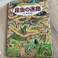 昆虫の迷路 秘密の穴をとおって虫の世界へ