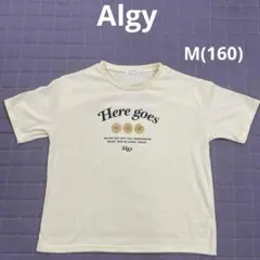 Algy Tシャツ　M(160)