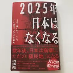 【美品】2025年日本はなくなる 内海聡著