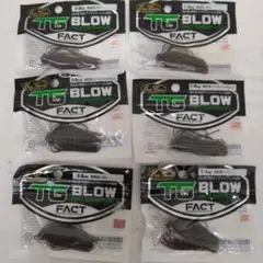 エバーグリーン　FACT TGブロー