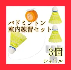 バドミントン シャトル 練習 室内 屋外 トレーニング 1人練習 反射神経 天井