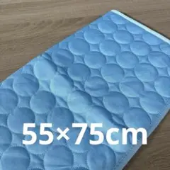 Item thumbnail for item 8306b166-67cf-4079-8af9-663df4add20f