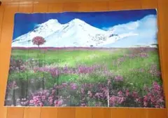 HOTIYOK  ウォールステッカー　壁紙シール　雪山　花　草原　未使用品