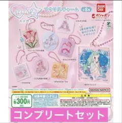 AAMY (ア〜ミ〜)アクリルチャーム　全8種コンプセット