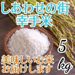 美味しいお米 令和4年 埼玉県産 コシヒカリ 白米 5kg 送料無料