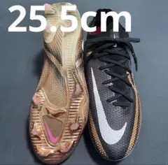 Item thumbnail for item d738d36e-1e63-4f08-ba3f-d52a09b28007