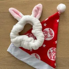 Item thumbnail for item 8a571901-fc4a-4127-98fb-17549287a840