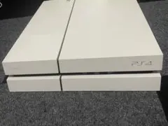 PS4本体+ソフト多数(完動品)