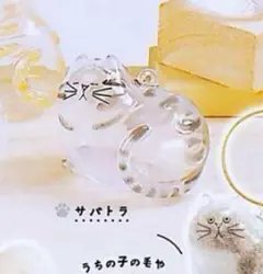 うちの子けだまだま サバトラ 正規品