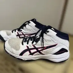 asics DUNK SHOT バッシュ　23センチ