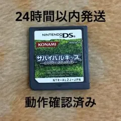 サバイバルキッズ Lost in Blue 2