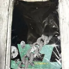 Item thumbnail for item 025242cc-1b72-4044-a0e7-b676db276b65