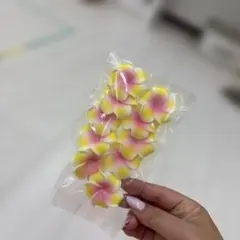 フラダンス◾️ハワイ好き◾️プルメリアパーツ