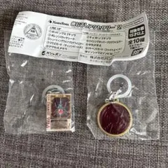 仮面ライダー　めじるしアクセサリー　タカメダル　ラウズカード