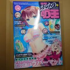 【付録無し】電撃おとなの萌王　Vol.14 2025年5月号増刊