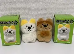ねこッカちゃん おでかけマスコット 2種セット