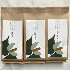 Item thumbnail for item 048b7db2-3cac-47ad-9be5-360f8995a14e