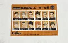 ハイキュー カード 烏野全メンバー