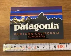 パタゴニア patagonia ステッカー 正規品
