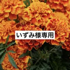 Item thumbnail for item 548b161b-ac45-404d-9257-794914ee98f4