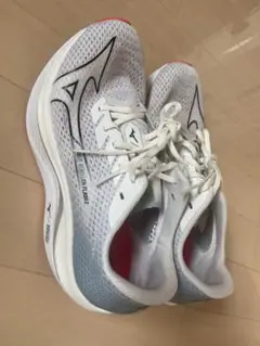 Mizuno WAVE リベリオンフラッシュ2 24.5㎝