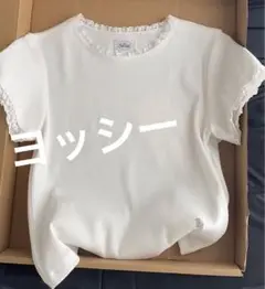 The Barnnet スリム レース 半袖 Tシャツ ホワイト ザ・バーネット