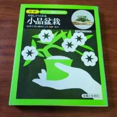 やさしくつくれる小品盆栽