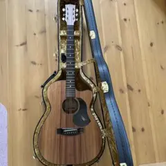 2025年最新】wood land ギターの人気アイテム - メルカリ