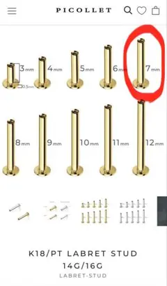 Item thumbnail for item 53cb4147-1097-4179-8195-49a08b95fb03