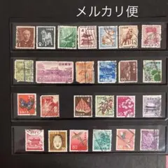 ★出品者イチオシ！★ ラスト1点！　96mm ベニオキナエビス 貝殻 標本 IMG_7369.jpg