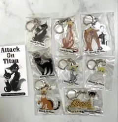 進撃の巨人 黒ねこ意匠 アクリルキーホルダー リヴァイ ハンジ エルヴィン 進撃の巨人 黒ねこ意匠 アクキー リヴァイ - メルカリ