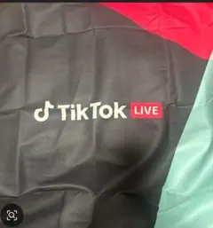 TikTokタオルブランケット本日限定早い者勝ち未開封未使用品です。