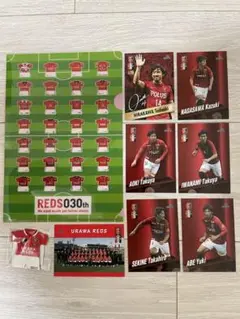 浦和レッズ グッズセット マッチデーカード クリアファイル マグネット