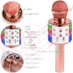 【❤カラオケだけじゃない❣1台4役の超多機能&超高性能カラオケマイク♪❤】