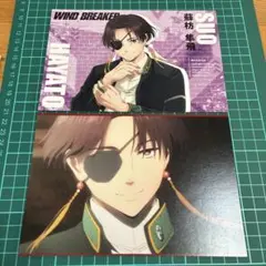 WIND BREAKER 蘇枋隼飛 ポストカード