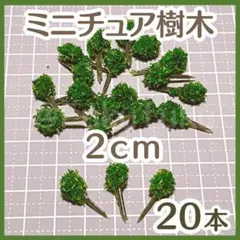 【ラスト１・匿名配送】ミニチュア樹木　2cm20本　模型　ジオラマ　ドールハウス