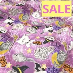 SALE【オリジナル生地】チンチラ　ハロウィン柄　ピンク