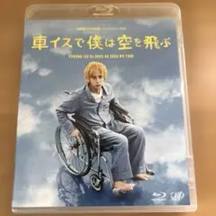 24HOUR TELEVISION ドラマスペシャル2012 車イスで僕は空を…