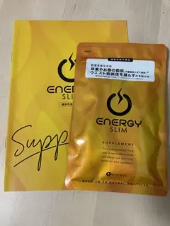 エナジースリム ENERGY SLIM 新品