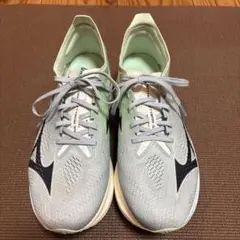 Item thumbnail for item 6e3da130-1e5e-4bd3-a2b4-313d6465a1f1