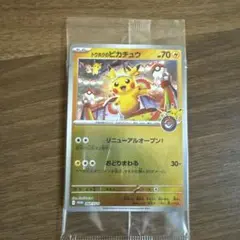 トウホクのピカチュウ