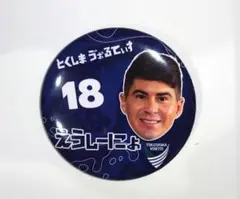 徳島ヴォルティス　18エウシーニョ　ひらがな缶バッジ