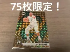 PANINI MOSAIC 2024-25 AL HORFORD