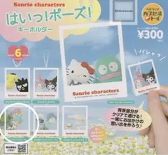 サンリオ はいっ！ポーズ！キーホルダーリトルツインスターズ