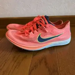 Nike ドラゴンフライ　23.0cm/us4