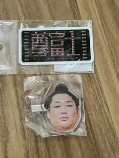 尊富士 相撲力士の顔 ヘアピン ステッカー 2個セット 新品未開封 ガチャガチャ