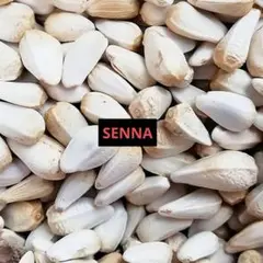 Item thumbnail for item 18c68fd5-fb9c-40a9-abcf-86ff037524ca